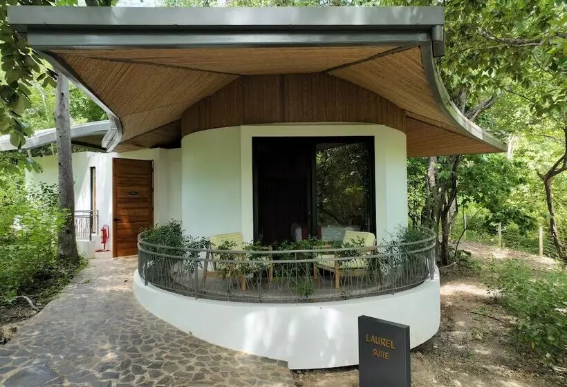 Hotelli Suitree Experience