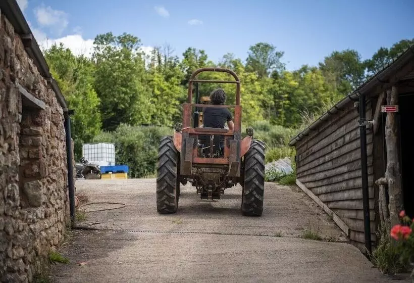ホテル Torre Cider Farm