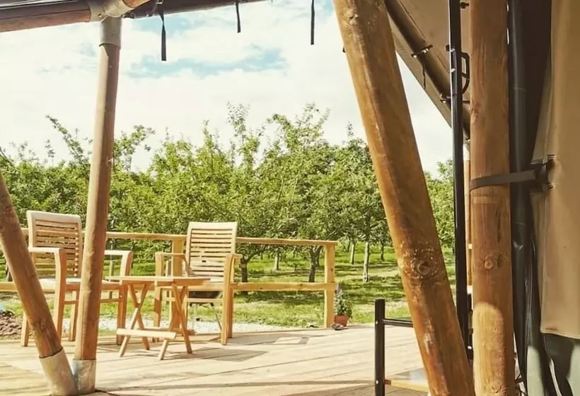 ホテル Torre Cider Farm