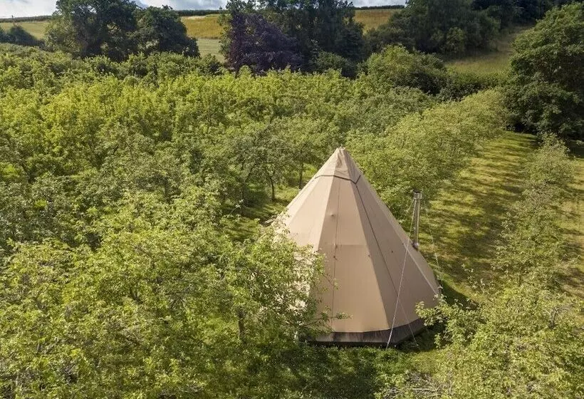 ホテル Torre Cider Farm