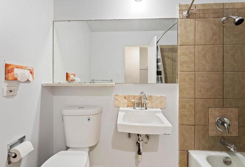 汽车旅馆 Temple View Inn