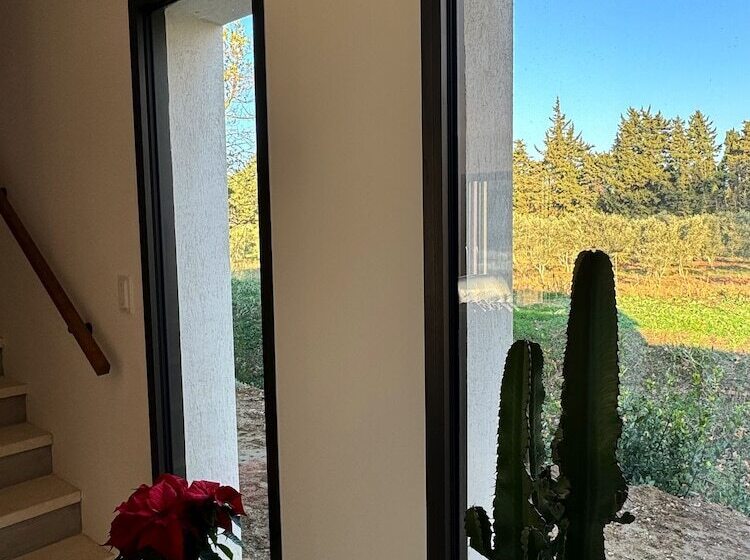 膳宿费 Mas Campau