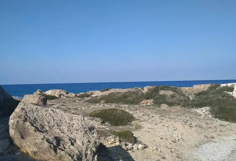 リゾートホテル Ardıc Agacı Tatil Köyü