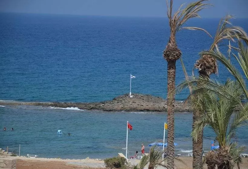 リゾートホテル Ardıc Agacı Tatil Köyü