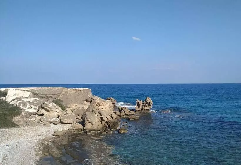 リゾートホテル Ardıc Agacı Tatil Köyü
