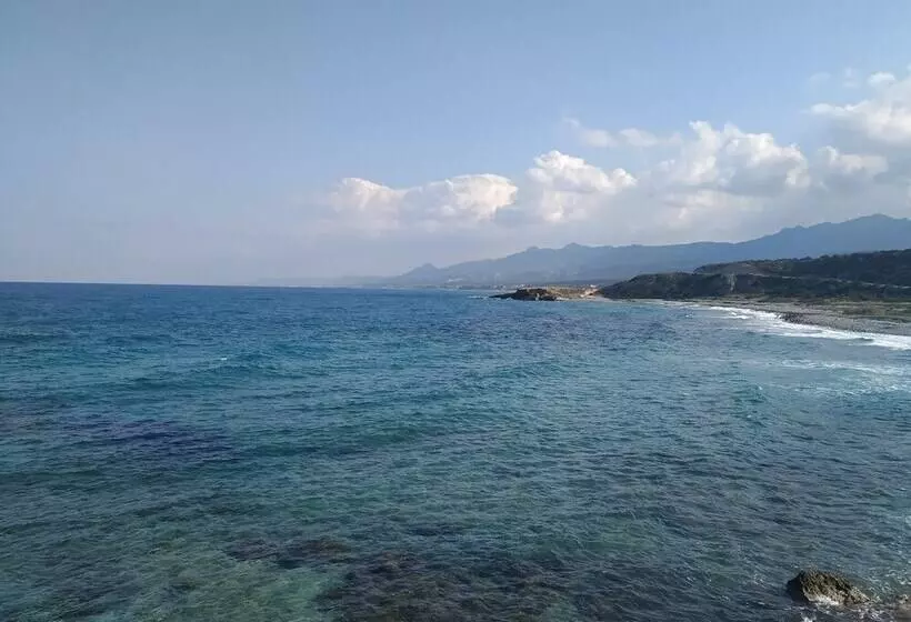 リゾートホテル Ardıc Agacı Tatil Köyü