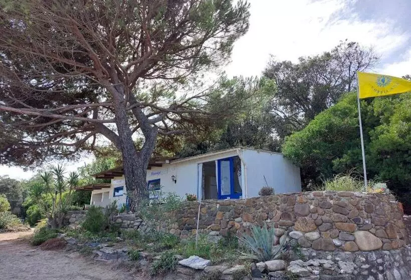 Lomakeskus Fkk Feriendorf Village Naturiste Club Corsicana