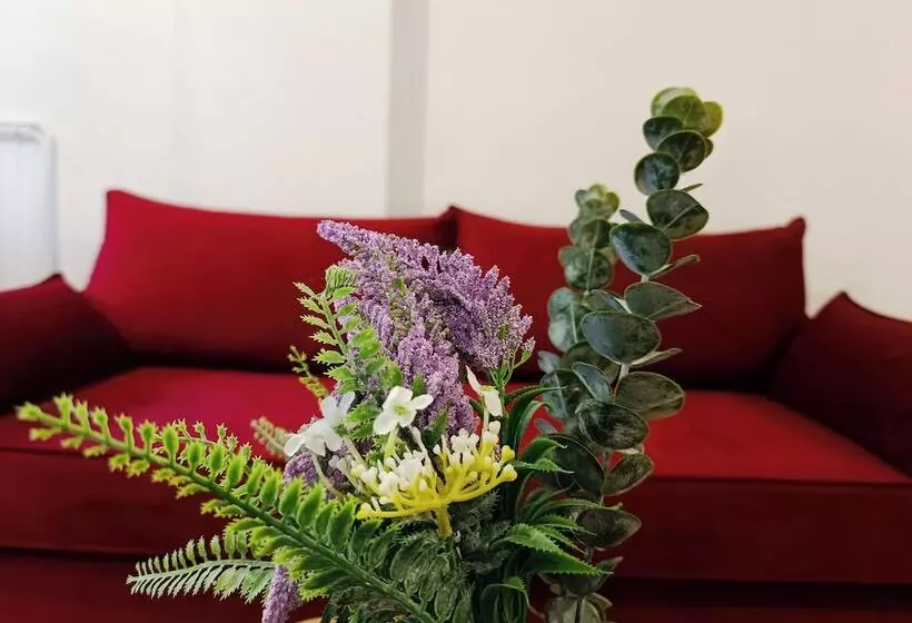 Sun Day Apartments Free Airport Transfer