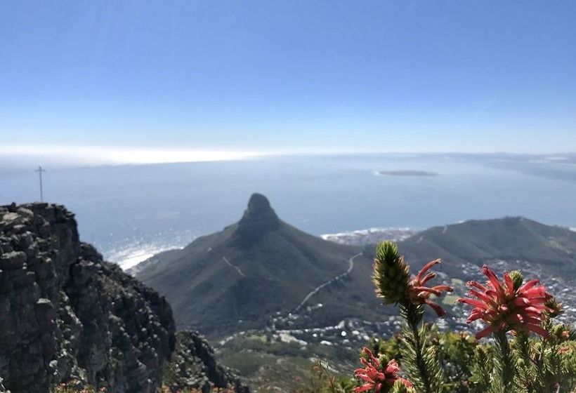 Studio Apartment In Green Point Cape Town