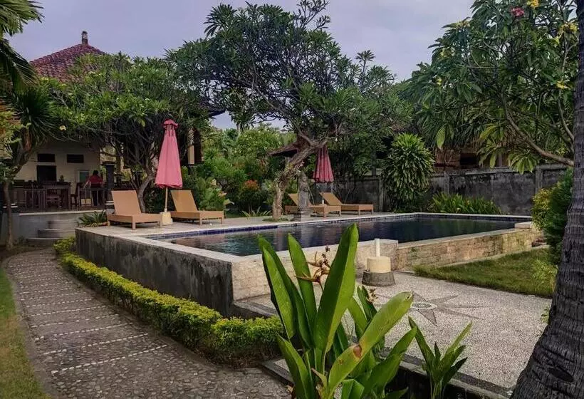 ホテル Bintang Beach Villa