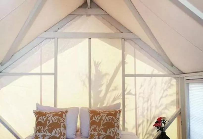 Hotelli Camp Coyoacan