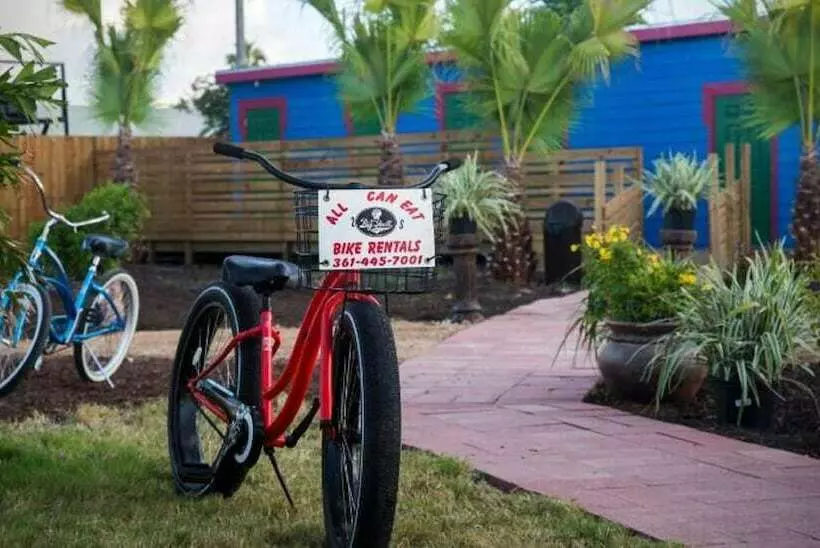 Hotelli Camp Coyoacan