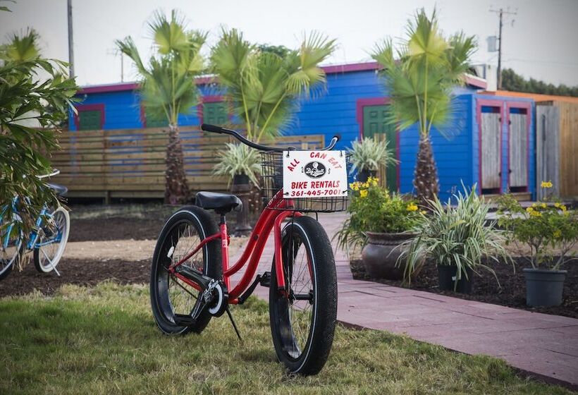 هتل Camp Coyoacan