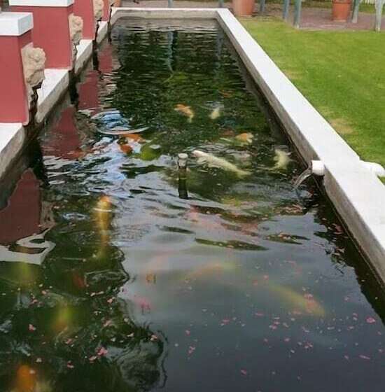 Пансион Beaufort Manor Country Lodge