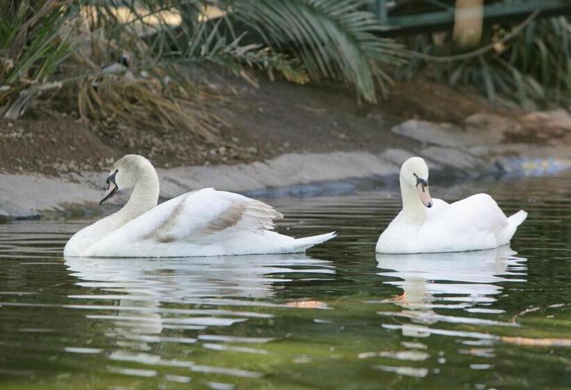 Пансион Beaufort Manor Country Lodge