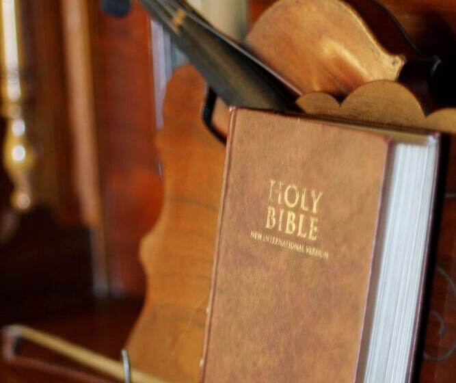 Swartvlei Guest Farm