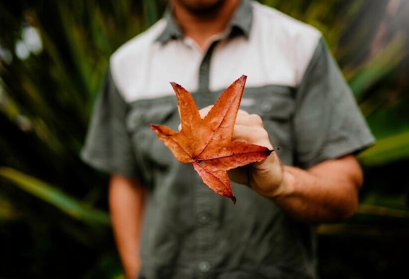 Swartvlei Guest Farm