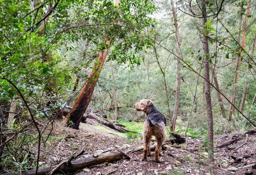 Swartvlei Guest Farm