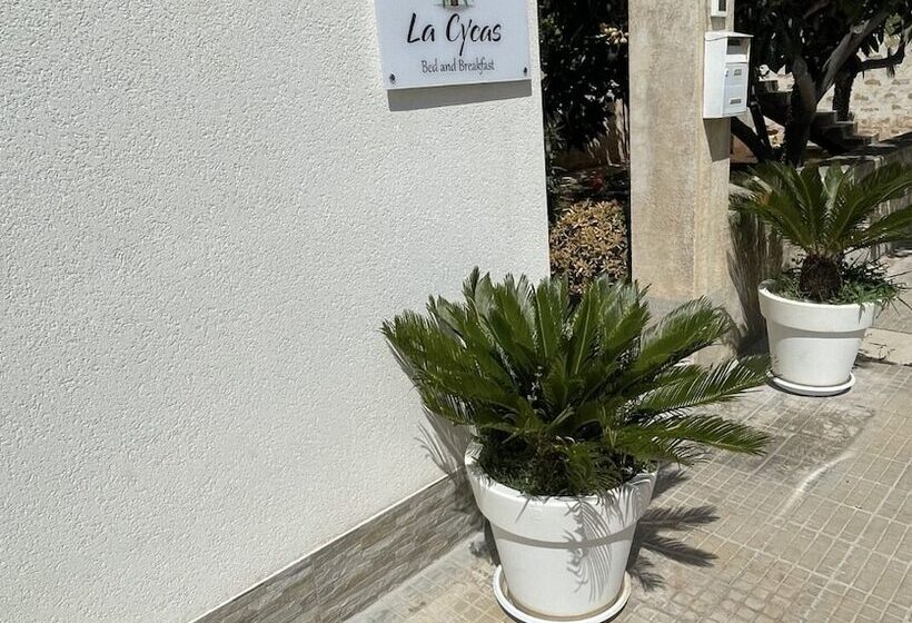 B&b La Cycas