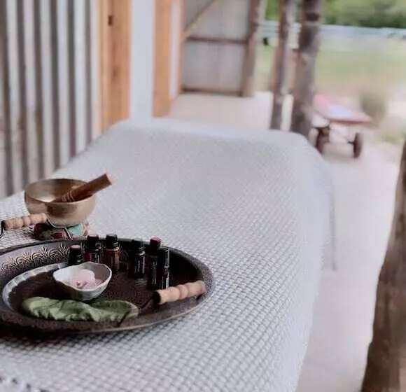 ホテル Figtree Retreat