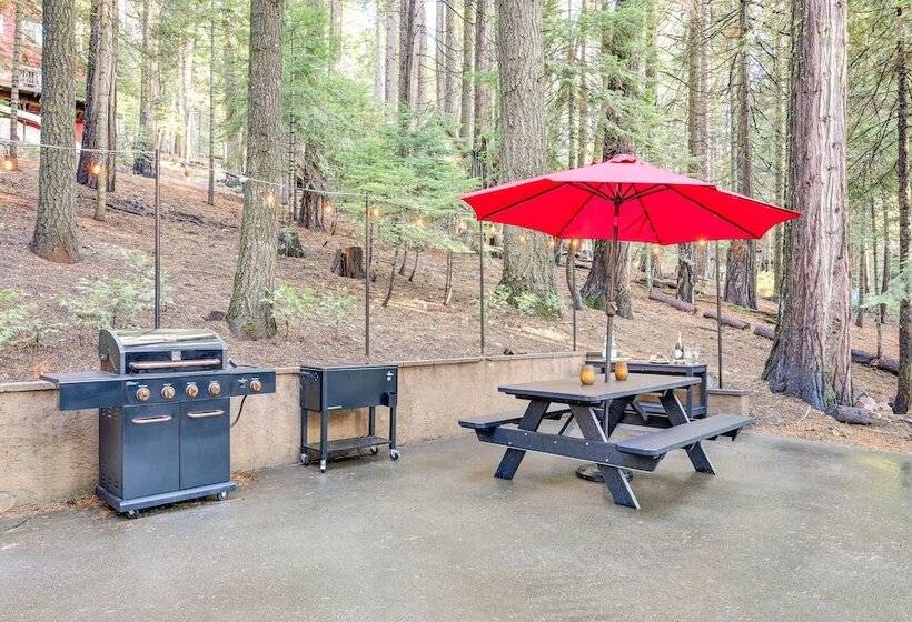 Deck & Ev Charger: Pet Friendly Arnold Cabin!