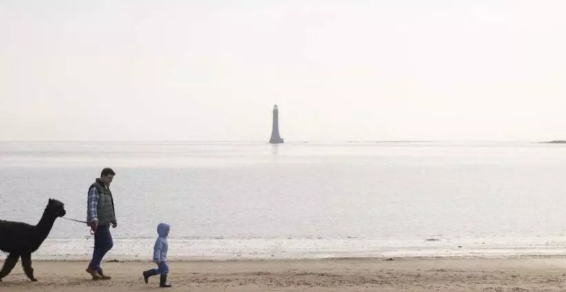 田舎風ホテル Cosy Barn Conversion In The Mournes