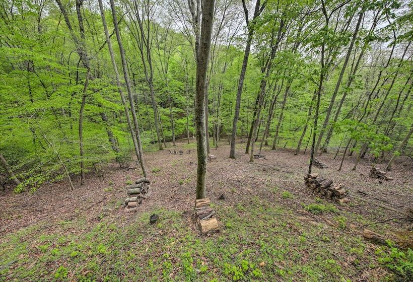 Peaceful Blue Ridge Cabin W/ Decks & Fire Pit
