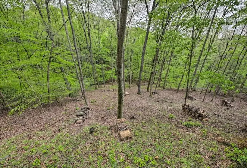 Peaceful Blue Ridge Cabin W/ Decks & Fire Pit