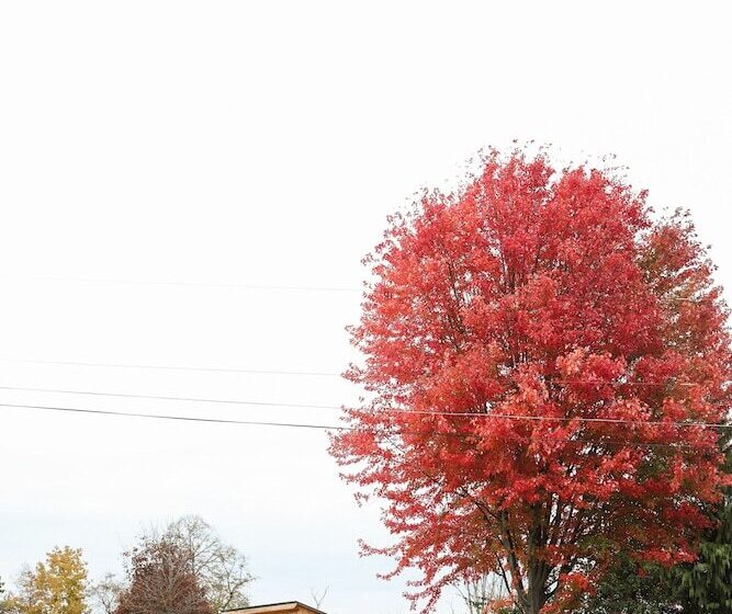 The Bellefonte Campground