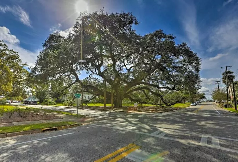 Thomasville Cottage Near The Big Oak & Downtown!