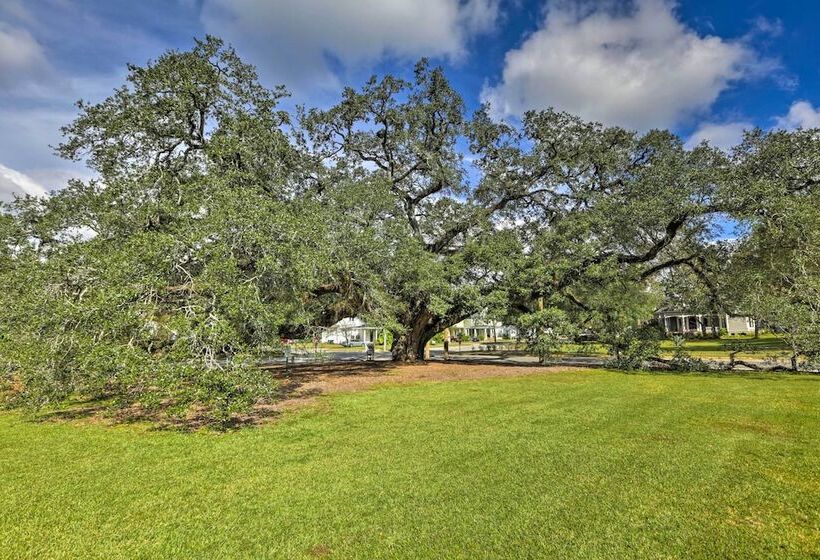 Thomasville Cottage Near The Big Oak & Downtown!