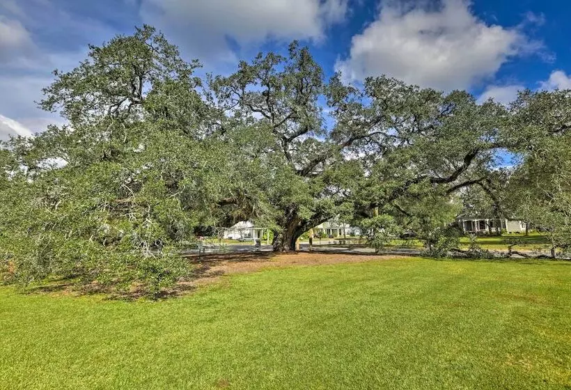 Thomasville Cottage Near The Big Oak & Downtown!