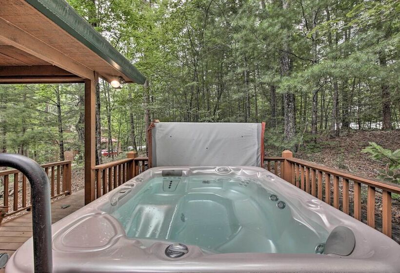 Woodsy Bear A Dise W/ Hot Tub ~ 1 Mile To Lake