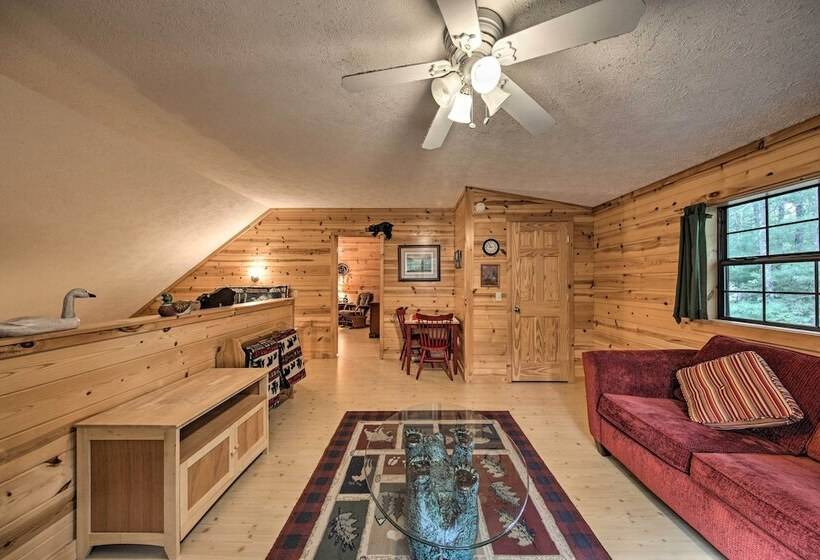 Woodsy Bear A Dise W/ Hot Tub ~ 1 Mile To Lake