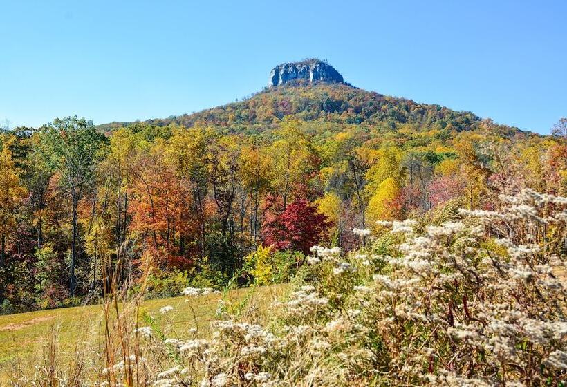 Beautiful Farmhouse W/ Pilot Mtn State Park Views!