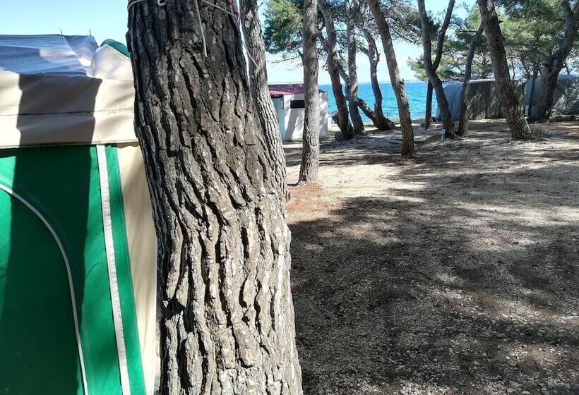 Room In Cabin Caravan Near The Sea 1