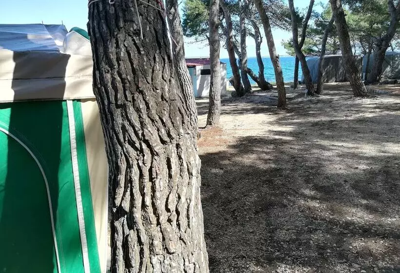 Room In Cabin   Caravan Near The Sea 1