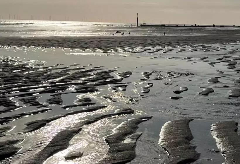 Driftwood Cabin Dog Friendly, Anderby Creek