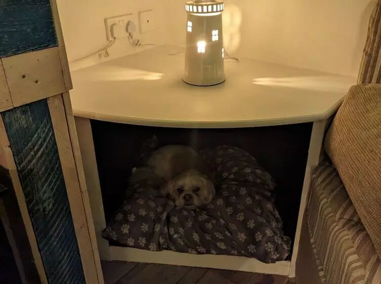 Driftwood Cabin Dog Friendly, Anderby Creek