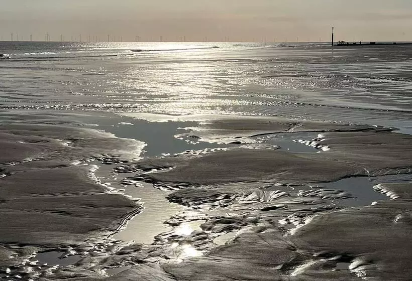 Driftwood Cabin Dog Friendly, Anderby Creek