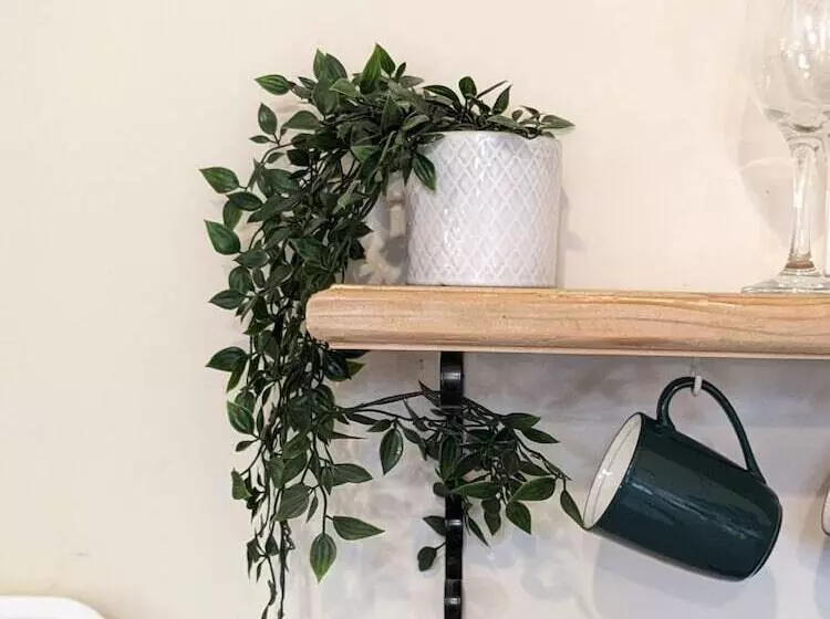 Elegant And Secluded 1 Bed Cottage Near Bideford