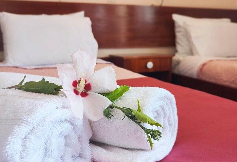 Helena Apartments In Paradisi