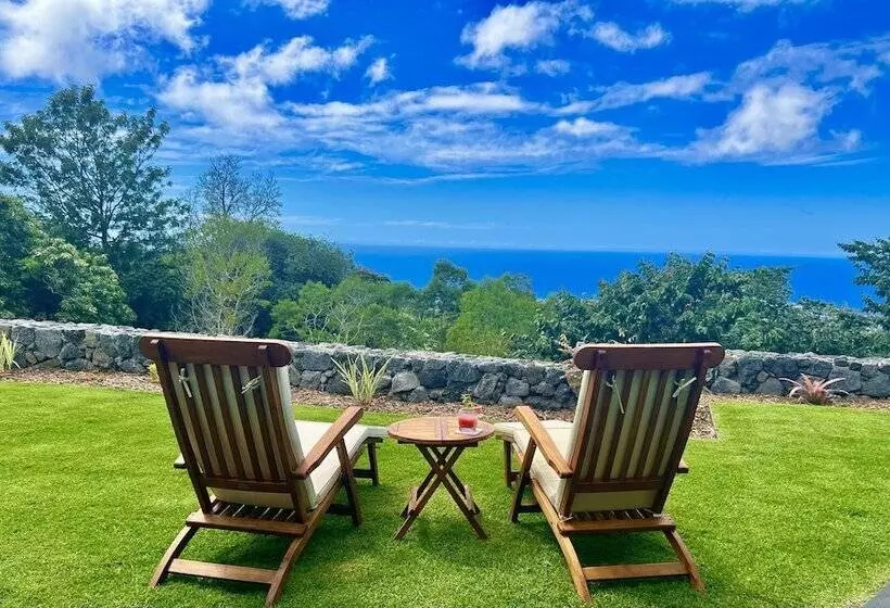 Mango Sunset Bed And Breakfast