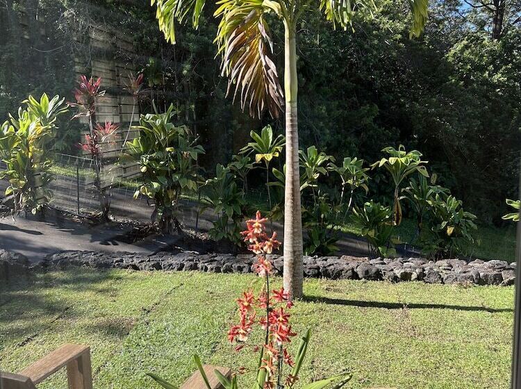 Mango Sunset Bed And Breakfast