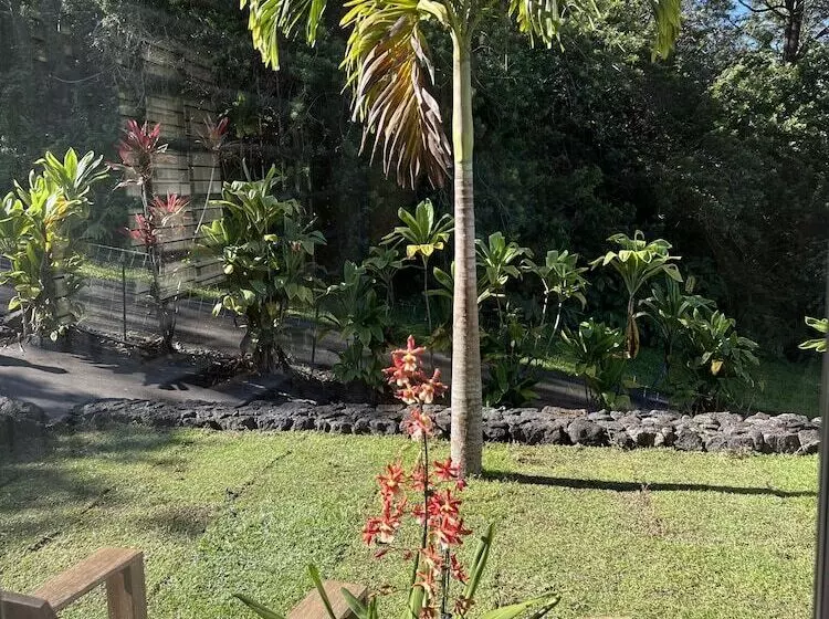 Mango Sunset Bed And Breakfast