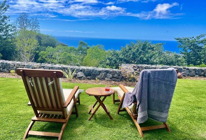 Mango Sunset Bed And Breakfast