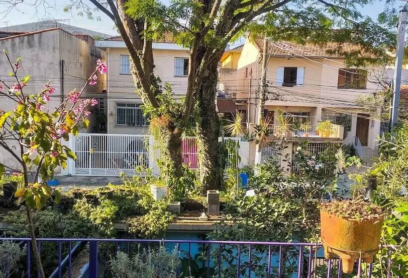 Micasa Hostel