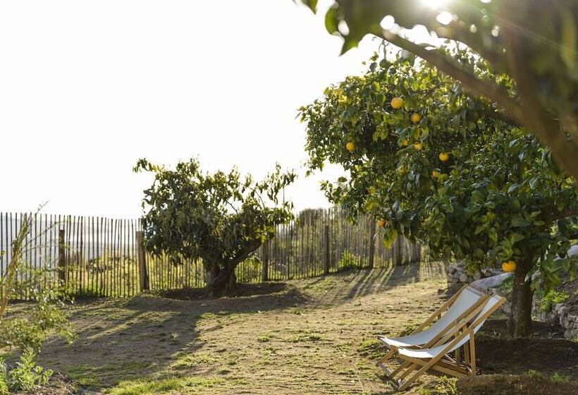 Пансион Terre De Maquis