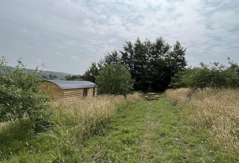 Woodpecker Hill   Apple Orchard In Alfriston