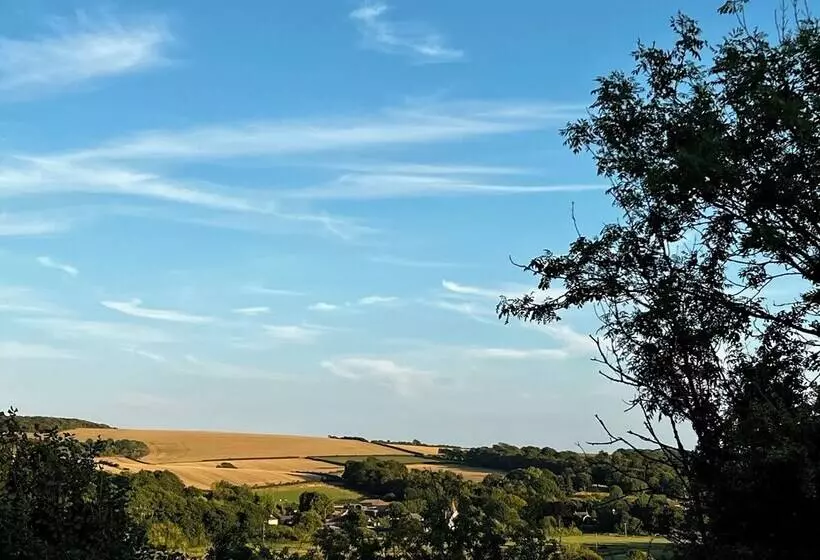 Woodpecker Hill   Apple Orchard In Alfriston